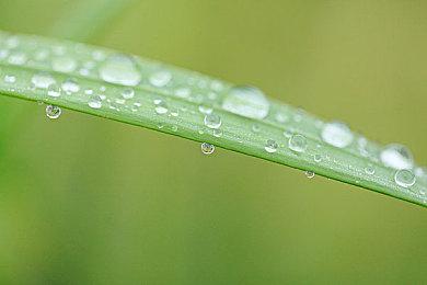 《完蛋！我被美女包围了2》角色预告 蒙尘金枝陆明月